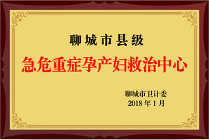 孕产妇救治中心 (2).jpg